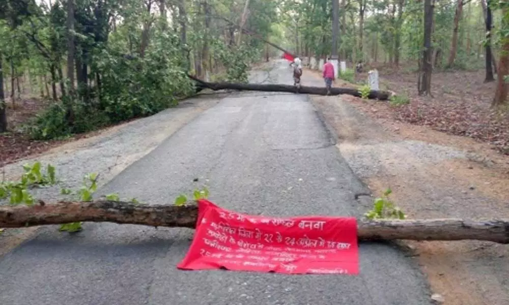 Maoists Cut Down Trees On The Roads At Agency Areas In Andhra Pradesh