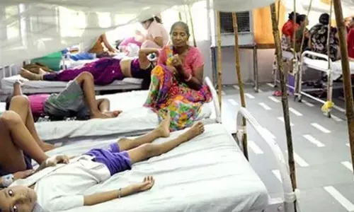 Hyderabad doctors hold conference as dengue cases spike