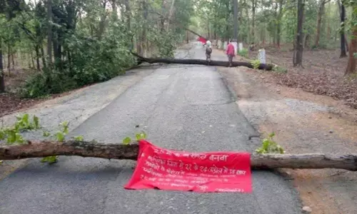 Maoists Cut Down Trees On The Roads At Agency Areas In Andhra Pradesh