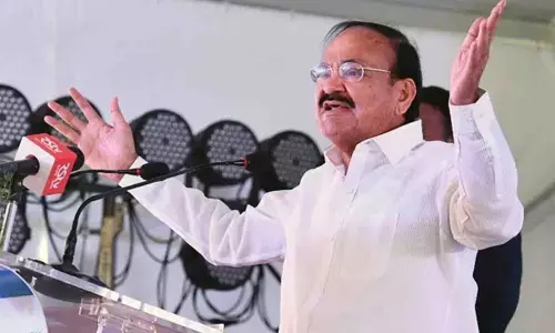 Vice President urges private sector to play bigger role in nation building