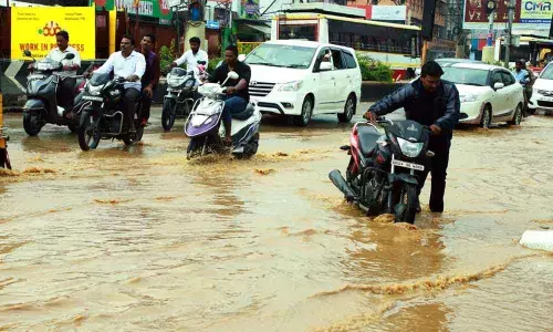 Rains in last one week raise hopes for kharif crops in Chittoor