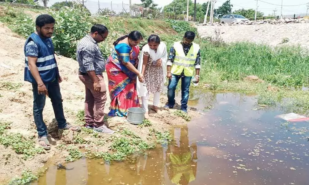 Corporator Cheruku Sangeetha releases fishlings in tank at Nagole