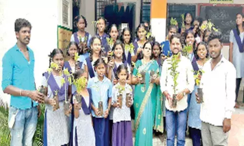 Call to raise trees to maintain greenery