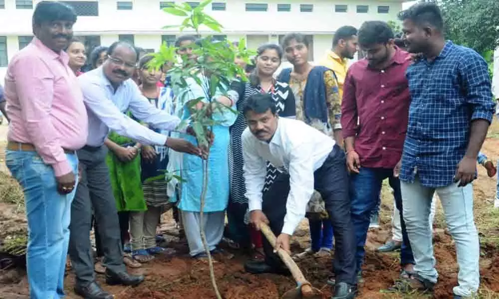 Warangal: School of Distance Learning and Continuing Education students take part in Haritha Haram drive
