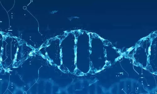 Water, not hydrogen bonds, key to DNA double helix: Study