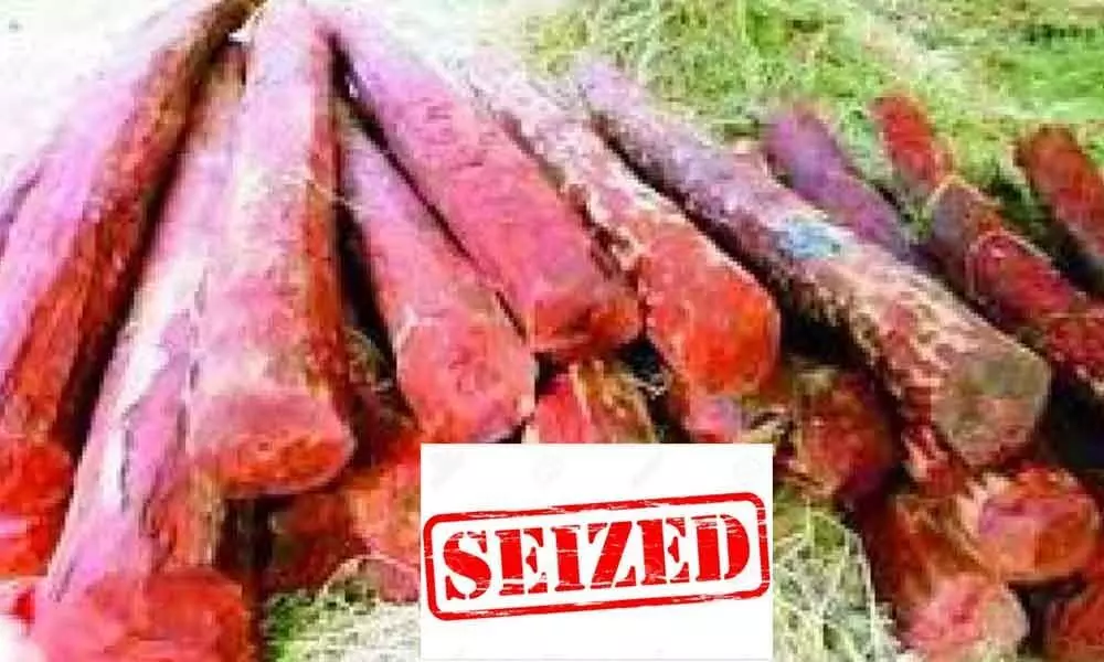 Kadapa: 780kgs red sander worth Rs 18 lakhs seized