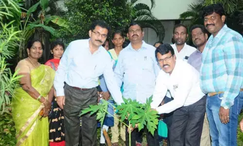 Hanamkonda: Afforestation tackles climate change