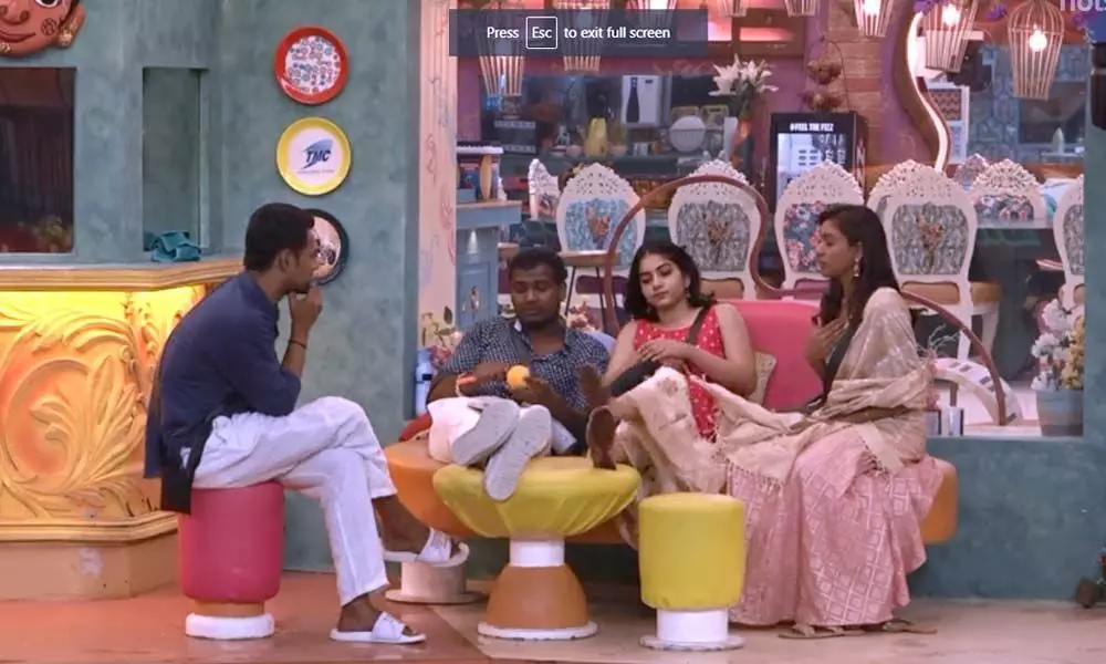Bigg Boss Telugu Season 3: Will the friendship between Rahul and Varun end today?