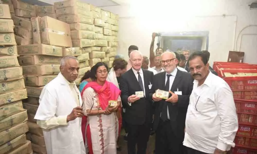 French team visits Vijaya Dairy, NTTPS in Vijayawada