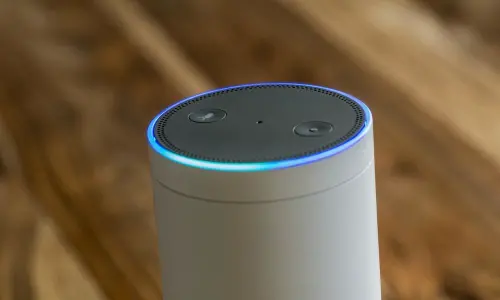 Amazon working towards making different voice assistants compatible