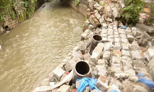 Nala wall collapses; colony inundated