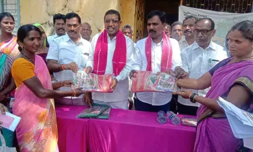 Action plan made villages tidy: ZP chief Dadannagari Vithal Rao