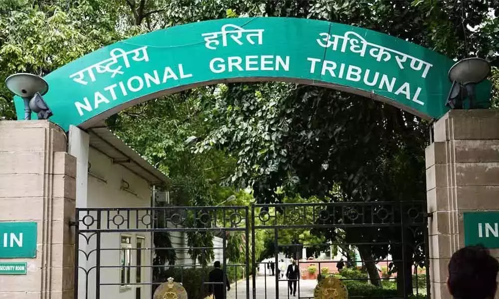 National Green tribunal Questioned Environmental Department On Polavaram Waste