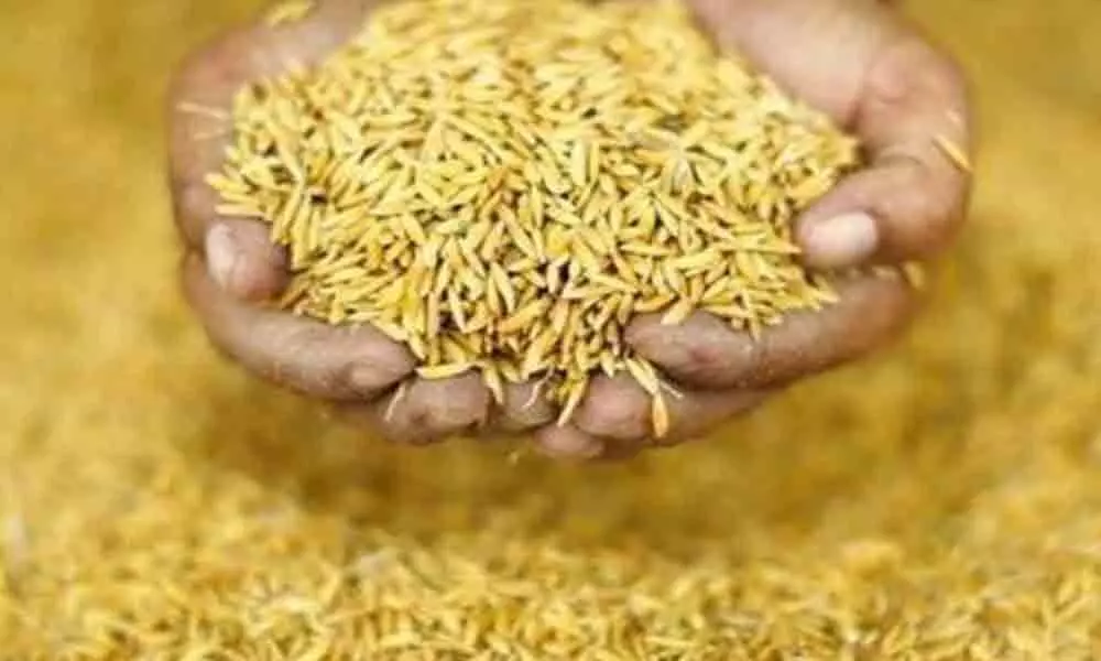 Agri department taking steps to procure 35,000 metric tonnes paddy in Mahbubnagar