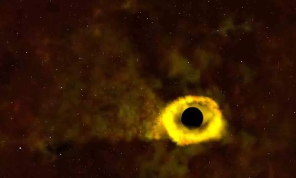 Blackhole shredding apart a star observed for the first time