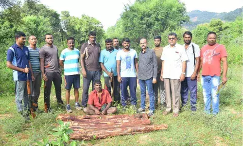 Tirupati: Red sander woodcutters attack police, fire opened in air