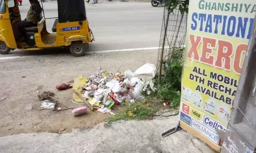 Heaps of garbage abound on the roadside