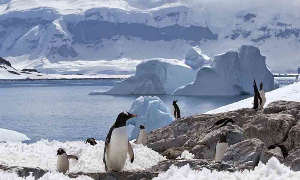 Discover Antarctica