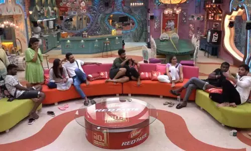 Bigg Boss Telugu Season 3 Eviction: This Contestant To Be Evicted?