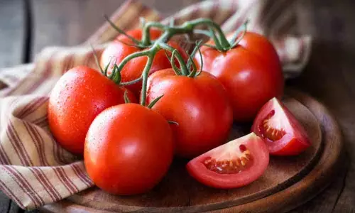 Best way to store tomatoes