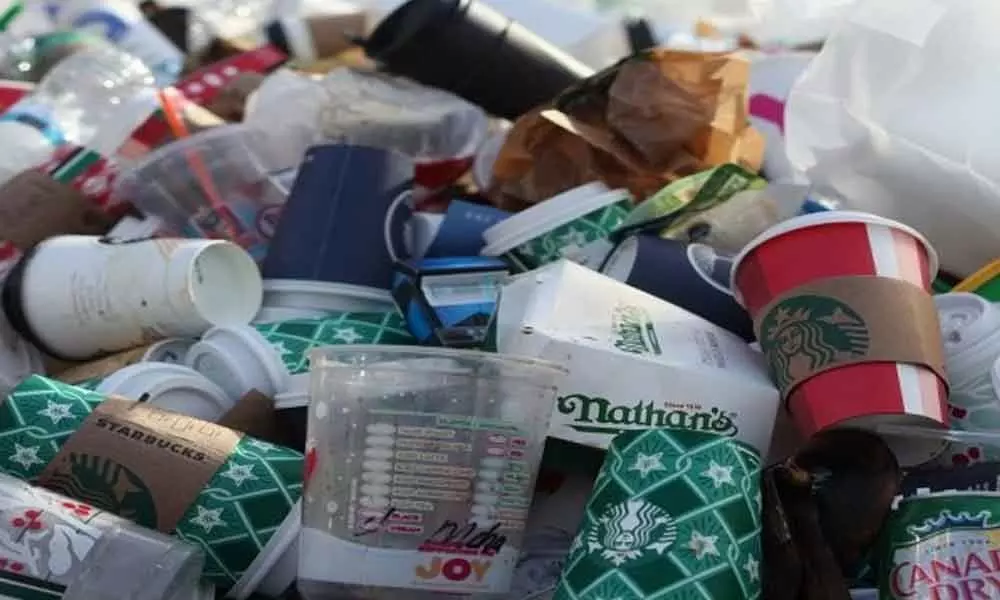 Rajasthan High Court bans single-use plastic