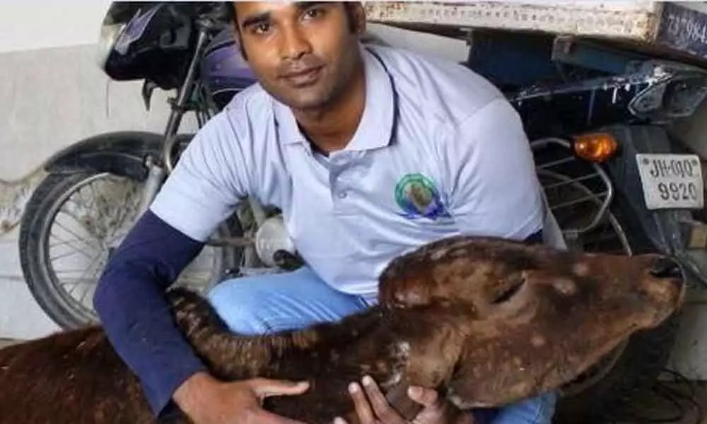 Animal friends who are transforming lives in Jharkhand villages
