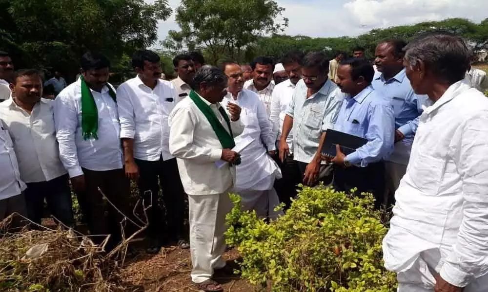 Crops in 10,000 hectares damaged due to Kundu river floods in Kadapa