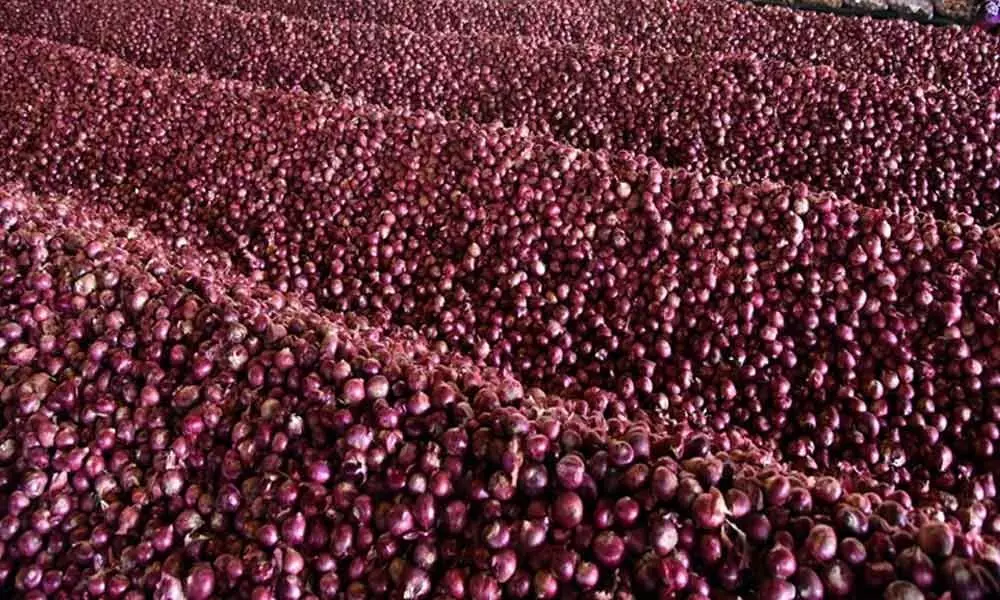 Centre bans export of onions