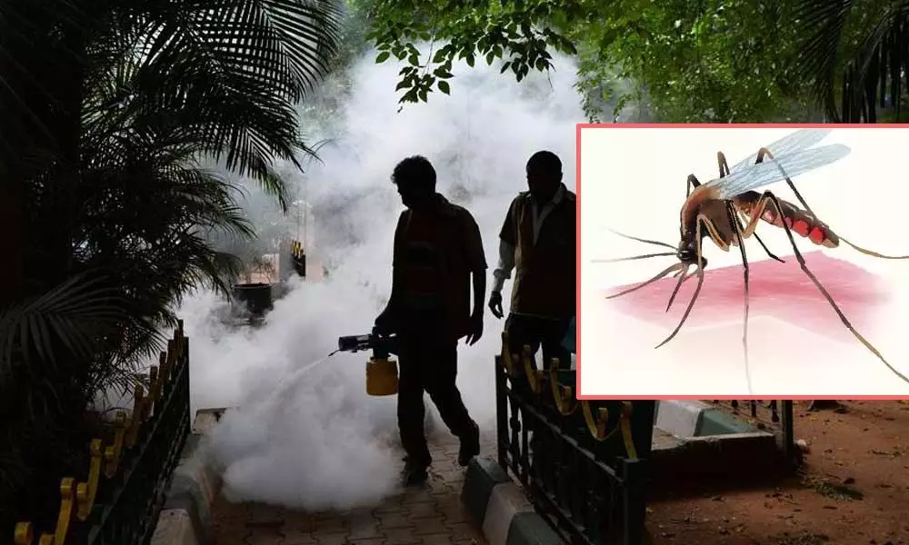 Dengue cases reducing in Hyderabad: civic body