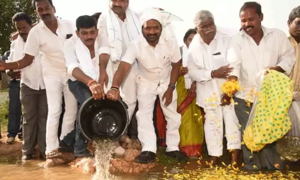 Fishlings released into revived Maddikhan Lake in Mahbubnagar