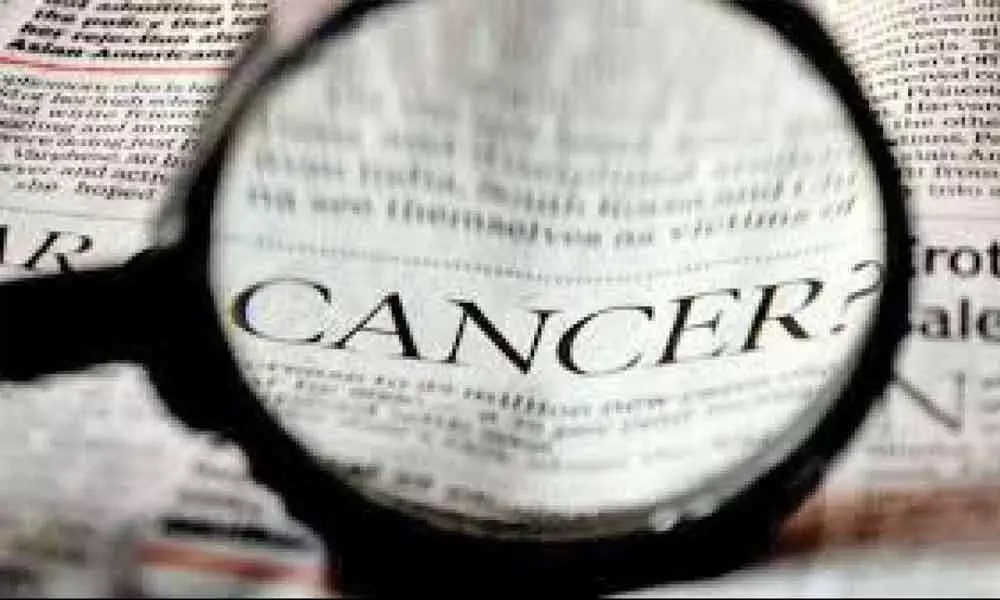 Human ageing processes may hinder cancer development: Study