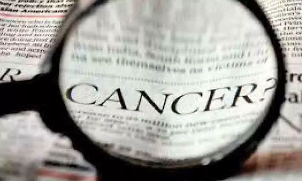 Human aging processes may hinder cancer development: Study