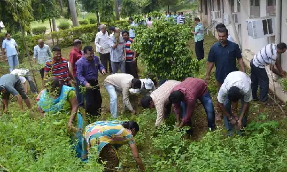 Bhadrachalam: Swachh Bharat at ITDA, staff clean office premises