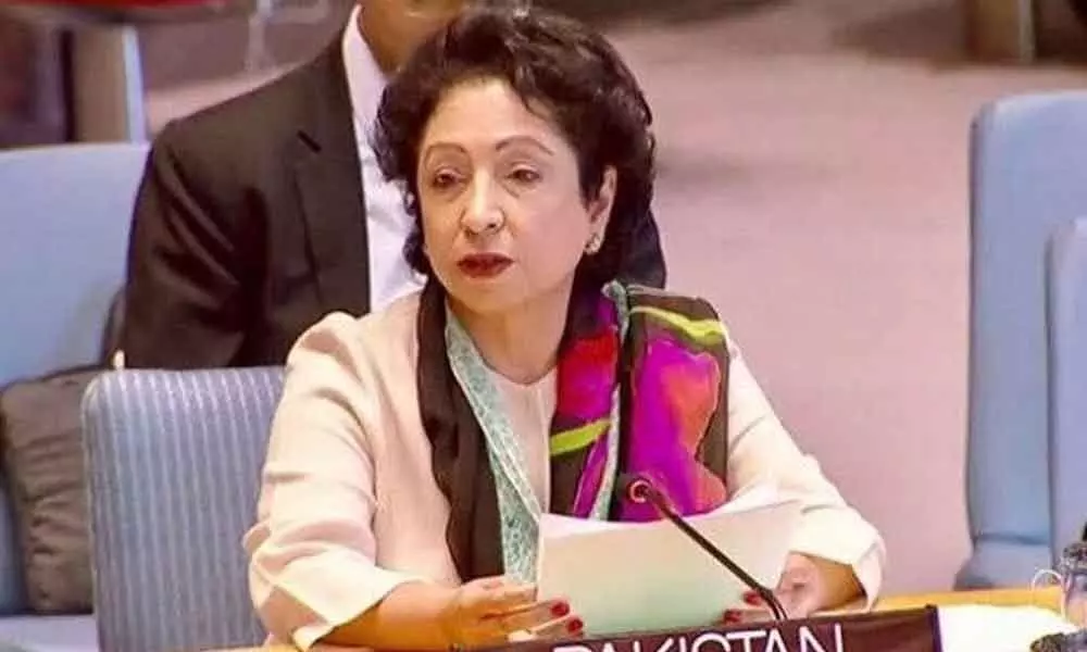 Pakistan PM Imran removes UN envoy Maleeha