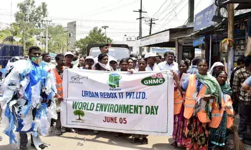 Illegal units thriving in residential areas