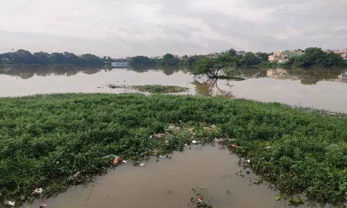 The lake that remains stinky for decades