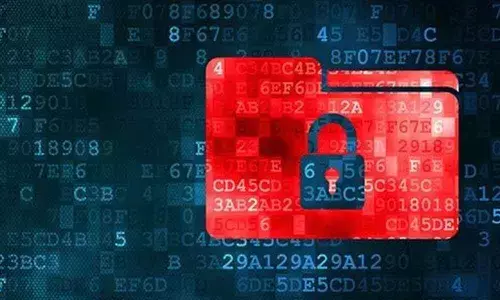 One-third of Indian biz face internal, external fraud