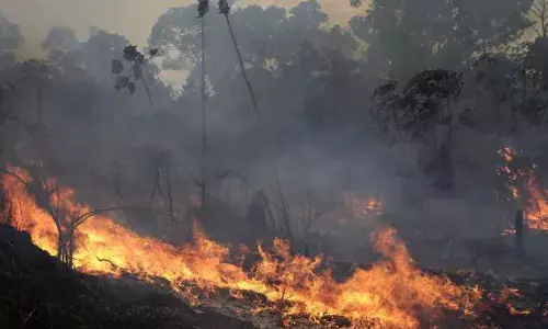 Amazon fires fall sharply in September, spread elsewhere