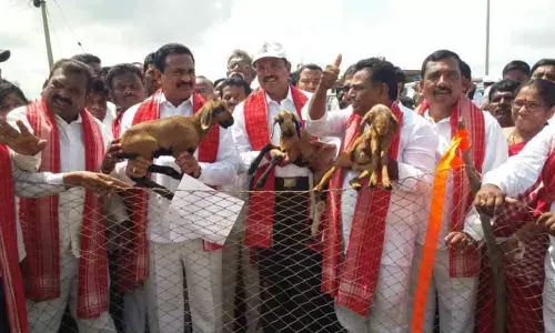 CM KCR true successor of Gandhi: Government Whip Gampa Govardhan