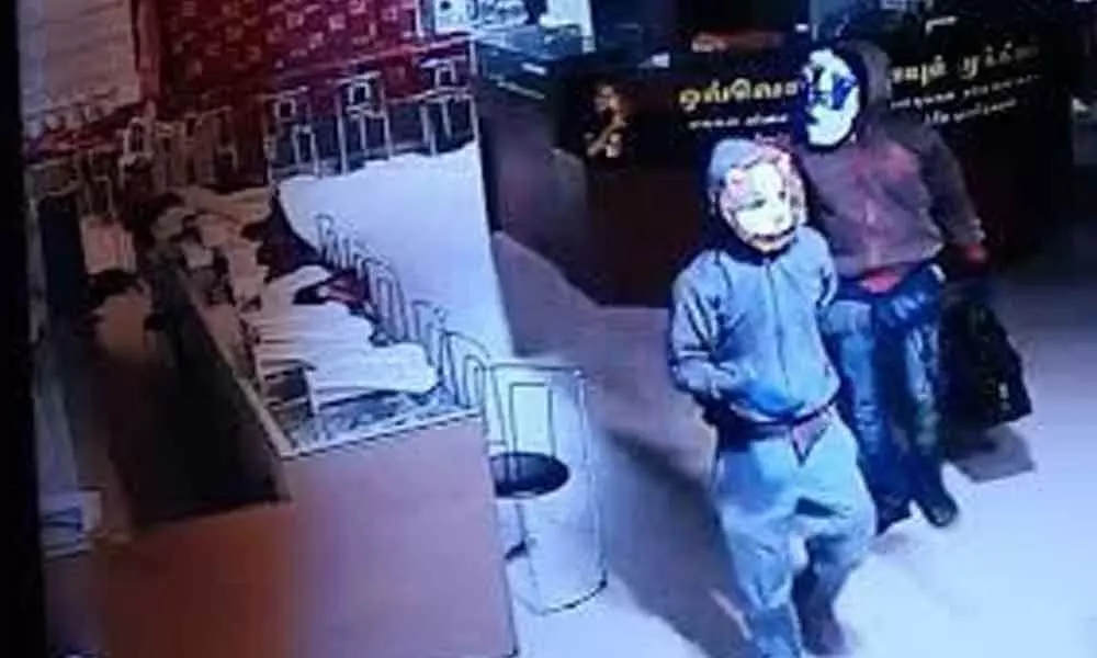 Men with tiger and bull masks rob jewellery worth Rs 13 crore