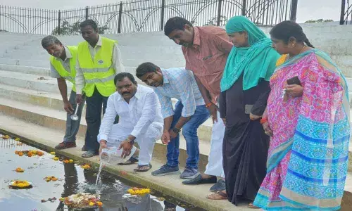 Anti-mosquito drive gathers momentum