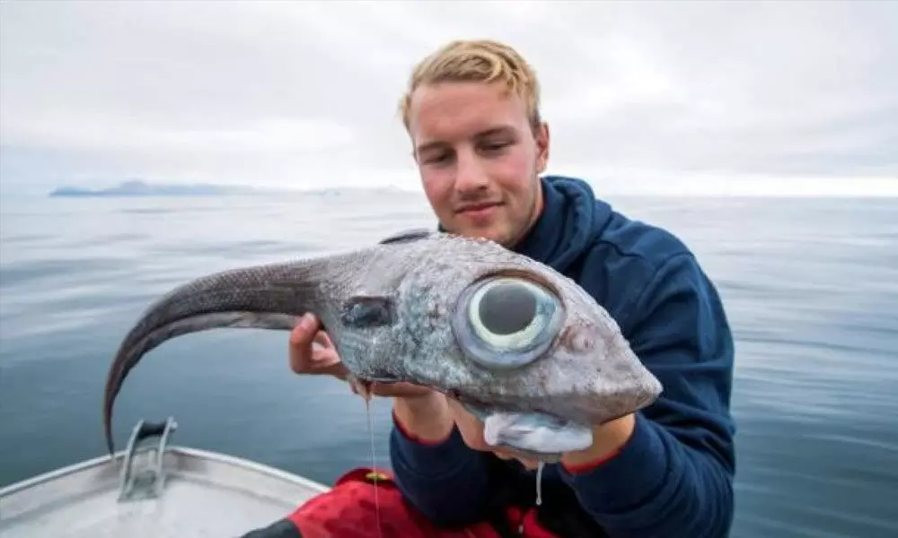 Fisherman gets shock as he reels in dinosaur-like fish with huge eyes