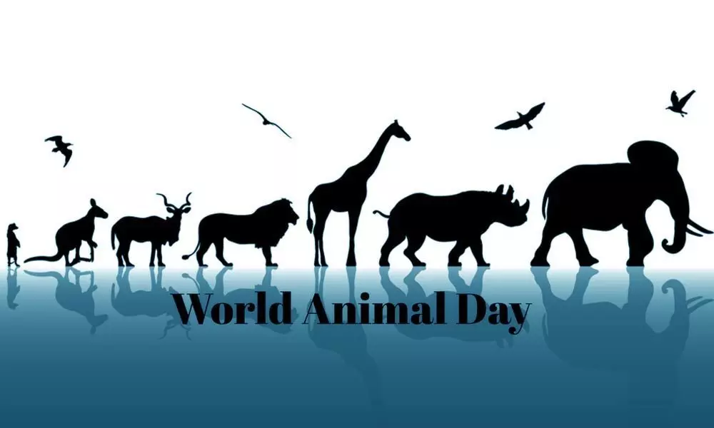 World Animal Day: Here Are The Movies That Has Animal Characters