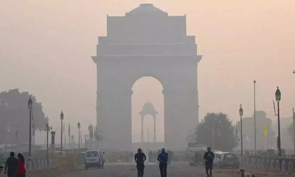 Delhi air quality to hinge on tech to curb paddy burning