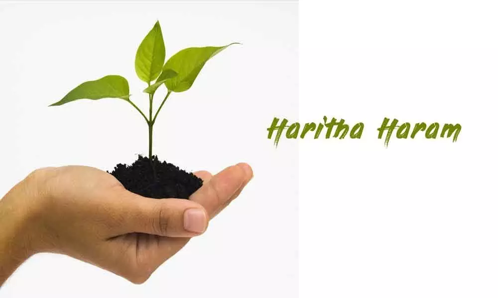 Haritha Haram highlighted at IUFRO World Congress