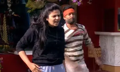 Bigg Boss Telugu Season 3: Episode 75 Highlights