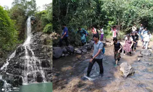 Warangal: Now, a walk to explore nature