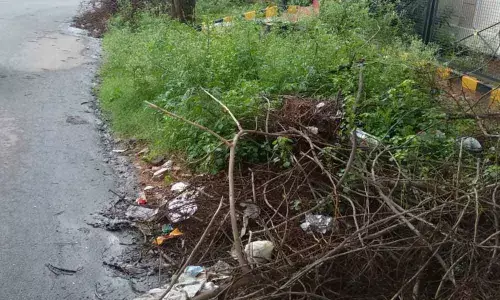 A month on, broken branches not removed