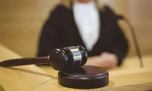 Plea in High Court against new pet shop rules