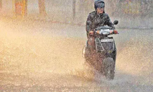 Rains lash Banaganapalle mandal; damage standing crops